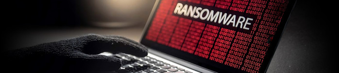 Ransomware 2024: jak walczyć z cybergangami