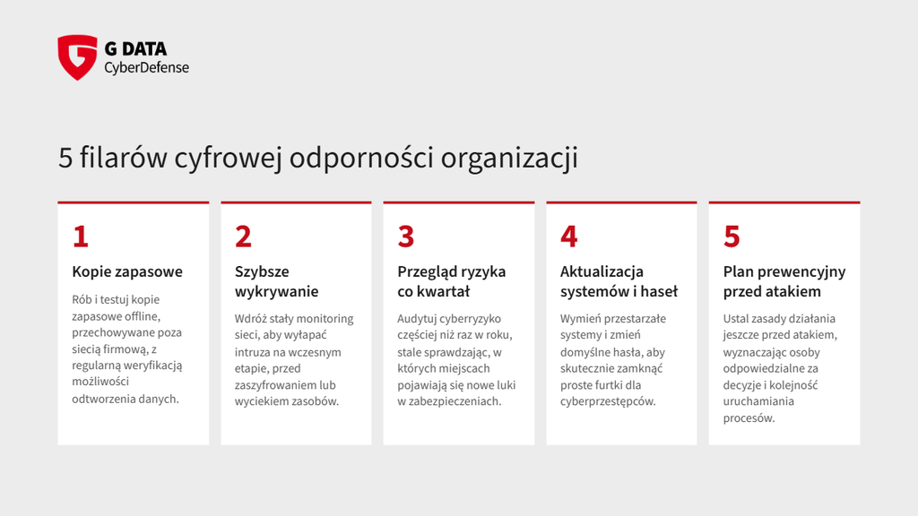 Infografika z 5 filarami cyfrowej odporności, czyli kopie zapasowe, wykrywanie, przegląd ryzyka, aktualizacje i plan reakcji.